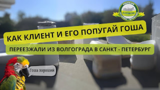 Из Волгограда в Санкт-Петербург с Буряков